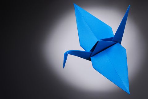Origami Artist Hire